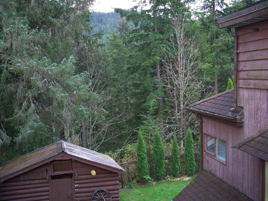 Tall Trees Bed & Breakfast Prince Rupert Room photo